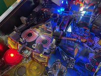 IMG_5835.jpg