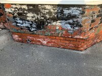 20996271-D7B1-4645-BF77-AFFBEB657B8E.jpeg