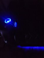 20230308_154824.jpg
