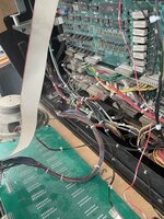 4F9F5D2C-1630-4D40-B6D9-C399229FA66E.jpeg