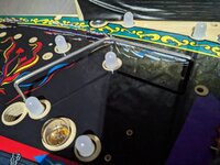 PXL_20230221_221407444.jpg