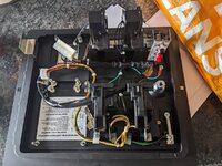 PXL_20230203_115919753.jpg