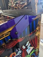 PXL_20230325_135308045.jpg