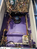 PXL_20230325_162702427.jpg