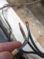 PXL_20230402_152553618.jpg