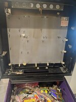 PXL_20230405_200456891.jpg