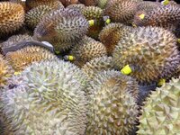 Taiwan supermarket pics (18).jpg Taiwan supermarket pics (18).jpg