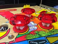 IMG_2097.jpg