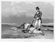 gif flogging a dead horse (2).gif