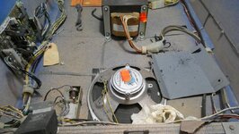 P1220763 (Medium).JPG
