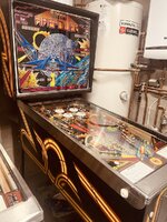 IMG_7060.jpeg