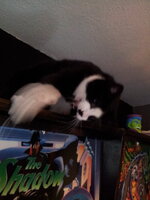 20110920131705-1.jpg