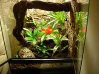 DSCN2326-1.jpg