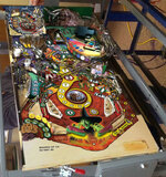 woz_31march2012_2-1.jpg