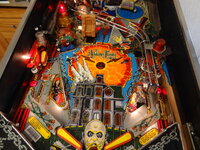 DSC01522-1.jpg