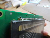 DSC01783-1.jpg