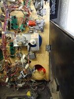 DSC01873-1.jpg