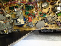DSC01874-1.jpg