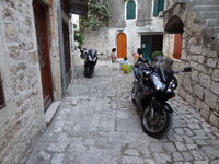 DSC02125-1.jpg