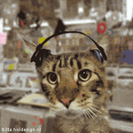 beta156-1.gif