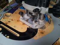 shad15-1.jpg