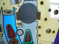 shad21JPG-1.jpg