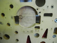 shad22JPG-1.jpg
