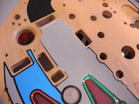 shad23JPG-1.jpg