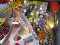 img109.imageshack.us_img109_3231_tom6n.jpg