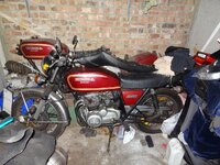 i263.photobucket.com_albums_ii125_calimori_DSC04876_zps768a22ca.jpg