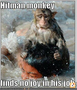 img.tapatalk.com_d_14_01_02_jehuzara.jpg