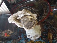 i1263.photobucket.com_albums_ii631_deathrowr_DSCF2391_zpsbcd99b6e.jpg i1263.photobucket.com_albums_ii631_deathrowr_DSCF2391_zpsbcd99b6e.jpg