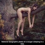 tapatalk.imageshack.com_v2_14_10_01_e0f44e23b240484ced6fd968cd0072fa.jpg