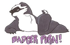 img15.deviantart.net_b992_i_2006_235_0_6_badger_porn_by_lemur_fox.jpg