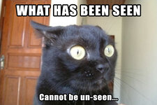 3.bp.blogspot.com__EfmUuwdwBgQ_T1WUpF37goI_AAAAAAAACFY_zRxvF_F_lbU_s1600_Cannot_unsee_cat.jpg