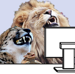 i0.kym_cdn.com_photos_images_original_000_576_567_9c1.png
