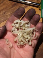 images.tapatalk_cdn.com_15_12_23_2c4b628621906ad5889fc2b064a107a1.jpg