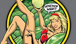 pavlovpinball.com_wp_content_uploads_2016_03_Melony_feature.jpg pavlovpinball.com_wp_content_uploads_2016_03_Melony_feature.jpg