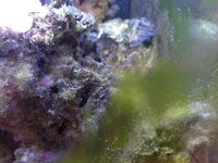 uploads.tapatalk_cdn.com_20160401_4e386060d27d535fd3cb0f473e2f0206.jpg