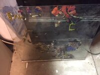 i.ebayimg.com_images_g_Z2QAAOSwl9BWHvnD_s_l1600.jpg