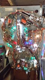 20151004_142251.jpg