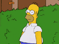 media.giphy.com_media_4pMX5rJ4PYAEM_giphy.gif