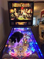 i.imgur.com_toPJdTr.jpg