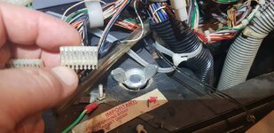 6cf42ec48a5508e87fb1531d95171fc2.jpg