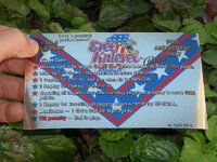 Evel%20Knievel%20Pinball%20Card%20Customized%20Rules%20print1.jpg