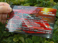 The%20Getaway%20High%20Speed%20II%20Pinball%20Card%20Customized%20Rules%20print2c.jpg