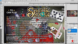 Speak%20easy%20Custom%20Pinball%20Card%20-%20Rules2.%20Mikonos2.jpg