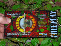 Guns%20and%20Roses%20Custom%20Pinball%20Card%20Free%20Play%20print1c.jpg