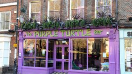 Purple-Turtle.jpg