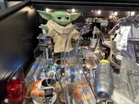 IMG_8172.jpeg